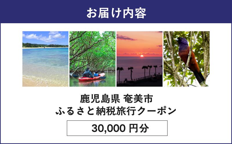 【奄美航空ツーリスト】ふるさと納税旅行クーポン30,000円　A179-FT004