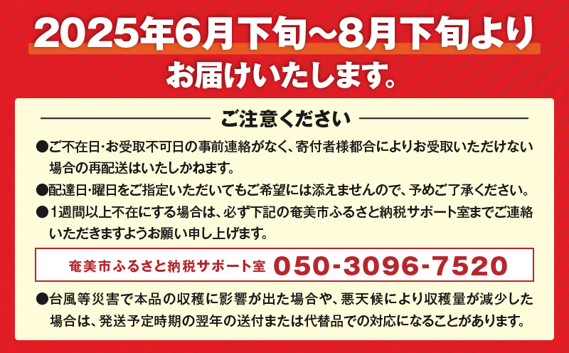 奄美大島産マンゴー約1kg（サイズ混合）　A050-008