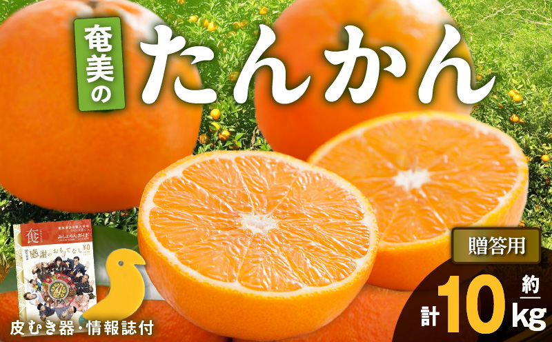 【2025年先行予約】奄美のたんかん贈答用10kg（皮むき器・情報誌付）　A052-023-02