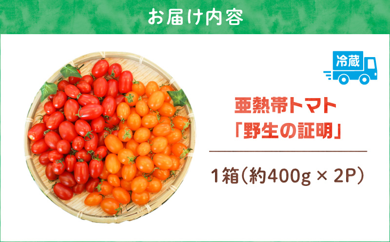 【2026年先行予約】亜熱帯トマト「野生の証明」約800g（約400g×2P）　A021-002-01