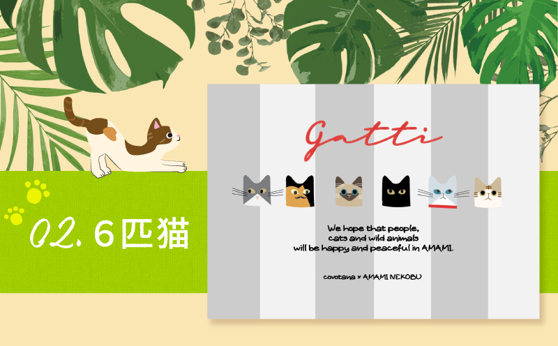 【奄美の保護猫支援（ワクチン代）】＋ポストカード3枚セット　A071-007