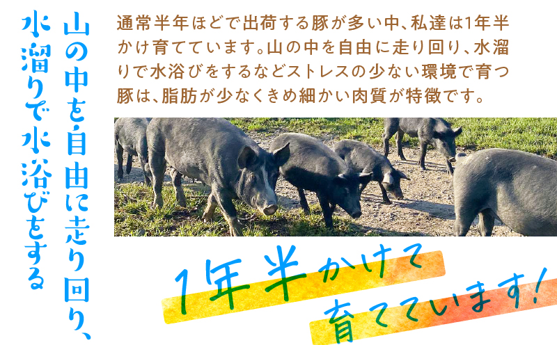 島育ち「あま豚」おつまみセット（加工品）　A146-005