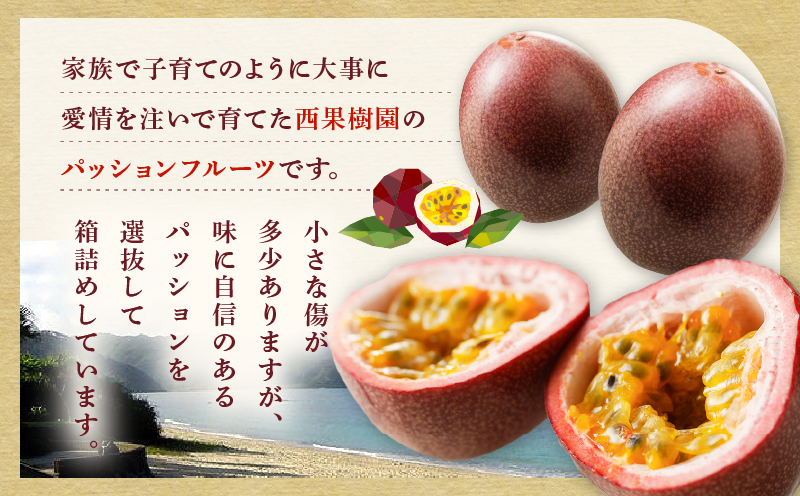 【2026年先行予約】★期間限定★3年連続品評会で金賞受賞！パッションフルーツ 家庭用 2.5kg　A068-001