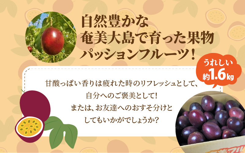 【10月1日価格改定（値上げ）予定】【2024年先行予約分】パッションフルーツ家庭用約１．６ｋｇ - パッションフルーツ 家庭用 約1.6kg 約16個前後 高糖度 国産 奄美大島産 果物 フルーツ 農家直送 トロピカルフルーツ 南国フルーツ