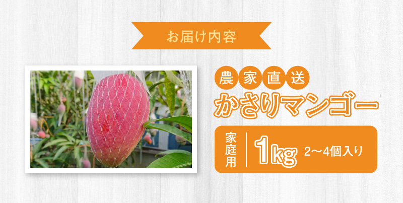 【2025年先行予約】【奄美産】かさりマンゴー家庭用1kg　A072-005