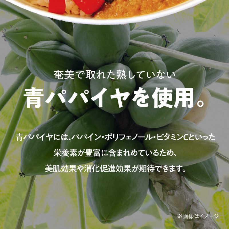 【10月1日価格改定（値上げ）予定】パパイヤ入り奄美カレー 180g 7個セット - 鹿児島県 奄美市 奄美大島 レトルトカレー チキンカレー 島ウコン 青パパイヤ入り 島料理 島じゅうりまごころ便パッケージ 湯銭 加熱　AG04