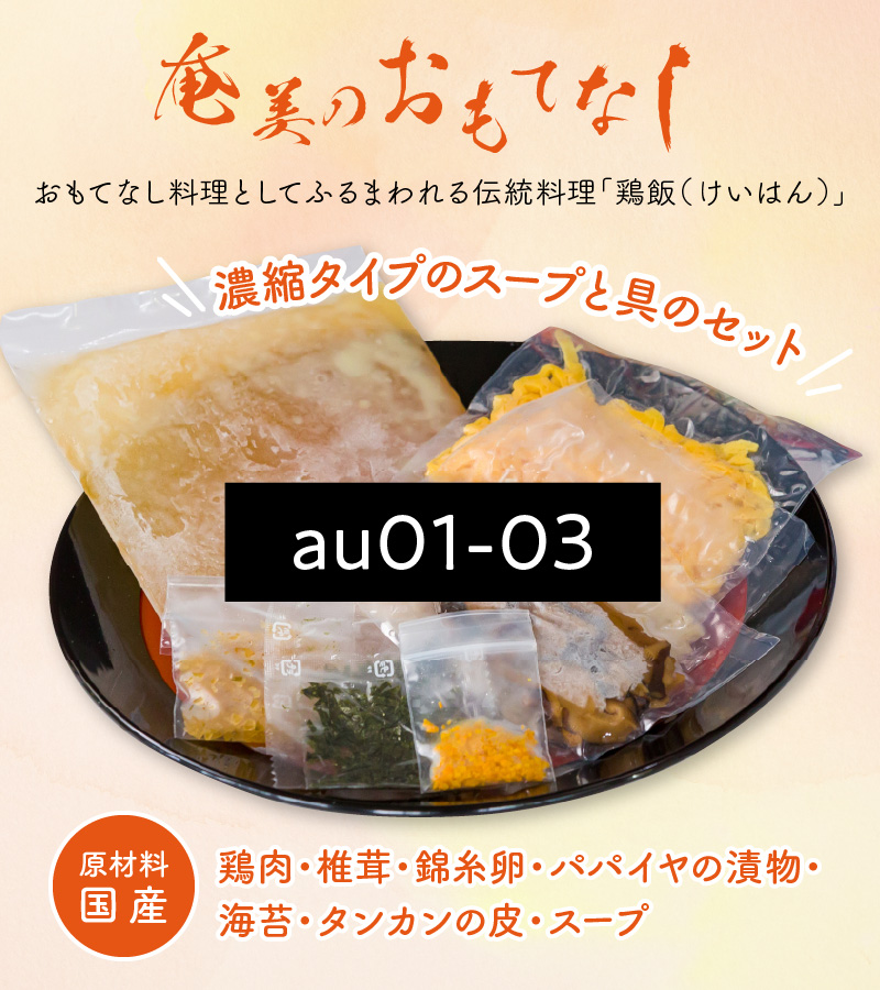 【奄美鶏飯】と【奄美島豚】餃子・ハンバーグのセット　A011-004