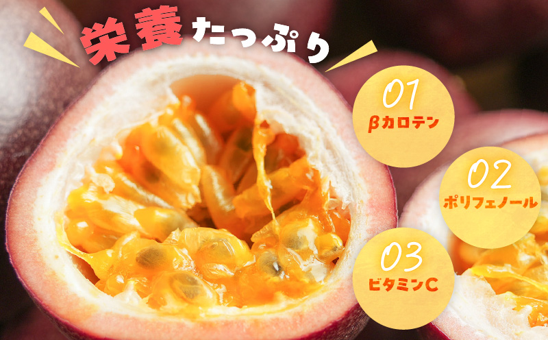 奄美産時計草（パッションフルーツ） 約1kg　A021-048-01
