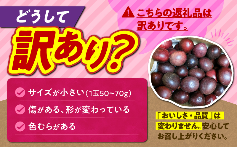奄美パッションフルーツ 訳あり品 2kg（30個前後）　A135-005
