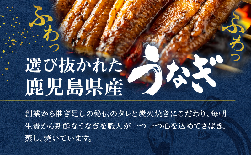 鹿児島県産！老舗うなぎ屋のうなぎのかば焼き2尾（並・100g以上×2パック）【贈答用】　A040-009-02