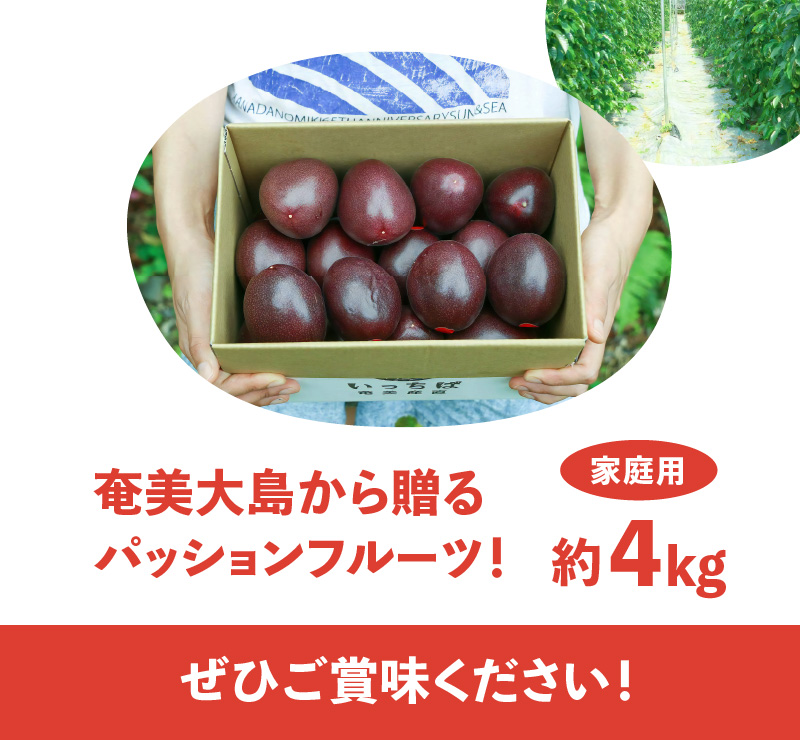 【2025年先行予約】ルビー色のトロピカルフルーツ！パッションフルーツ【家庭用】約4kg　A052-009