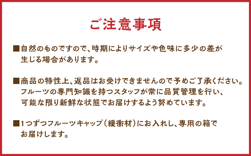 パッションフルーツ 家庭用 約1kg　A194-001-01