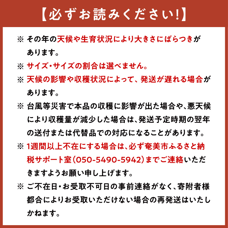 【10月1日価格改定（値上げ）予定】【2024年発送】農家直送 パッションフルーツ　贈答用1ｋｇ（秀品12個入り）×3【21年度品評会金賞】 - 奄美大島産 贈答用 果物 先行予約 2024年 6月 ビタミン 葉酸 トロピカルフルーツ 鹿児島 夏の果物 旬 3kg