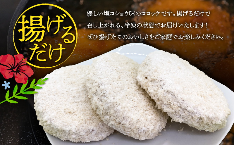 奄美島豚あかりんとんコロッケ【業務用】塩コショウ味　A008-005