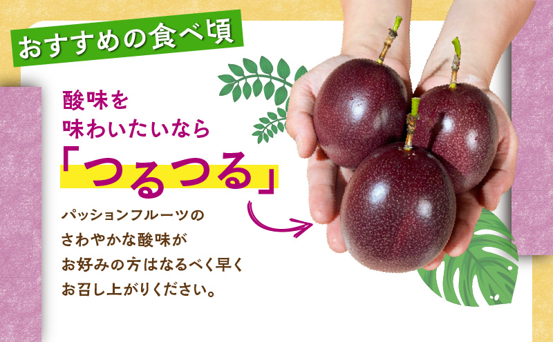 パッションフルーツ 家庭用 約1kg　A194-001-01