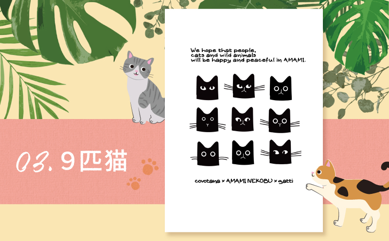 【奄美の保護猫支援（保護猫フード10日分）】＋ポストカード3枚セット　A071-006