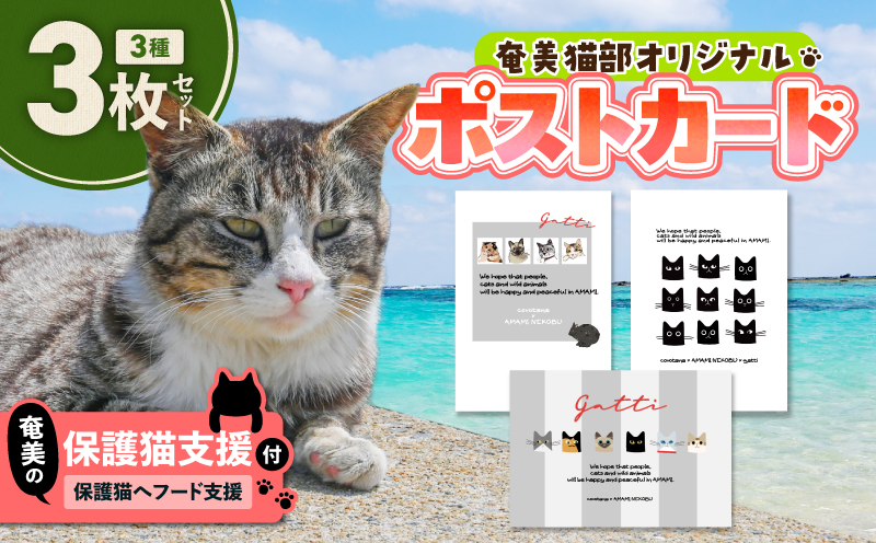 【奄美の保護猫支援（保護猫フード10日分）】＋ポストカード3枚セット　A071-006