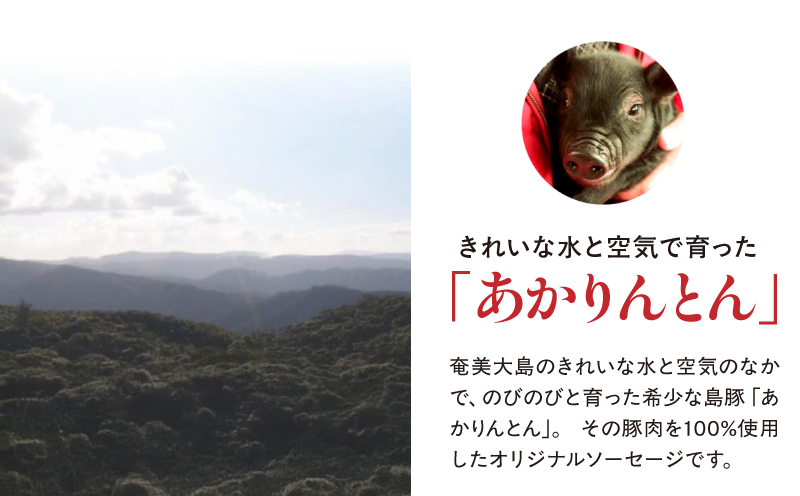 奄美クラフトビール＜2種＞2本セットと奄美島豚あかりんとんソーセージ（3本）　A126-013-01