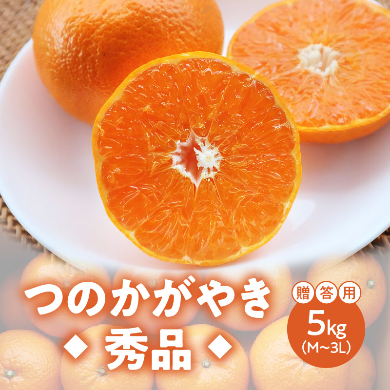 【期間・数量限定！】奄美つのかがやき＜秀品＞化粧箱 5kg （満杯詰め）3L〜Mサイズ【贈答用】　A070-006