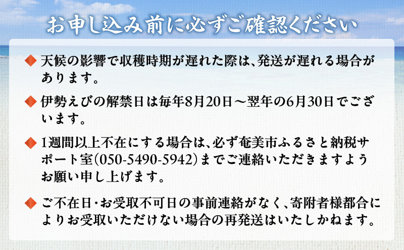 【10月1日価格改定（値上げ）予定】伊勢えび約1kg以上（2尾～3尾）　A050-002