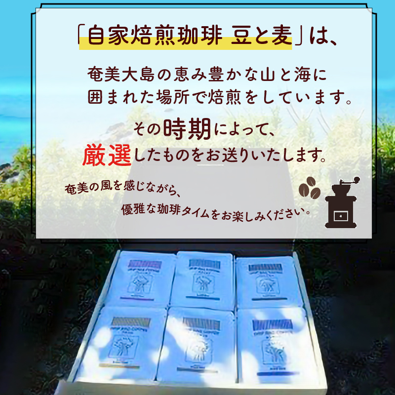 【10月1日価格改定（値上げ）予定】コーヒードリップバッグ詰め合わせ（6種類×4パック入）各12g入