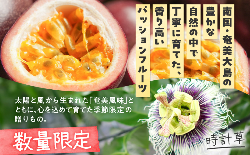 奄美産時計草（パッションフルーツ） 約1kg　A021-048-01