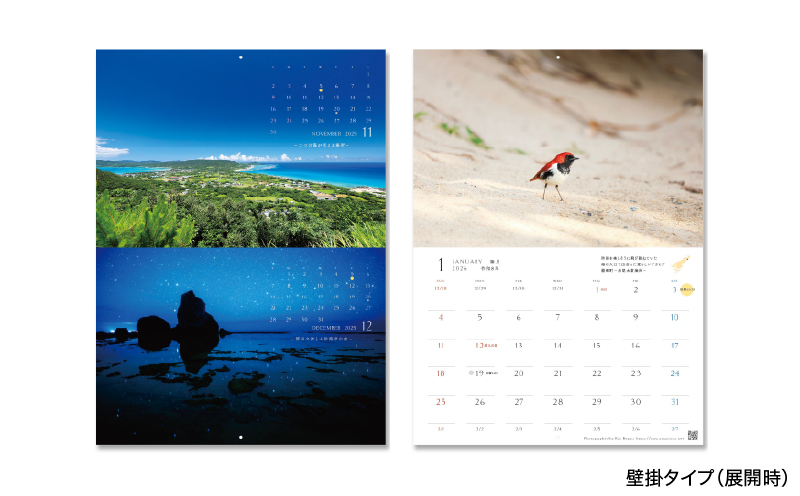 奄美カレンダー2026年 壁掛タイプ　A021-049-02