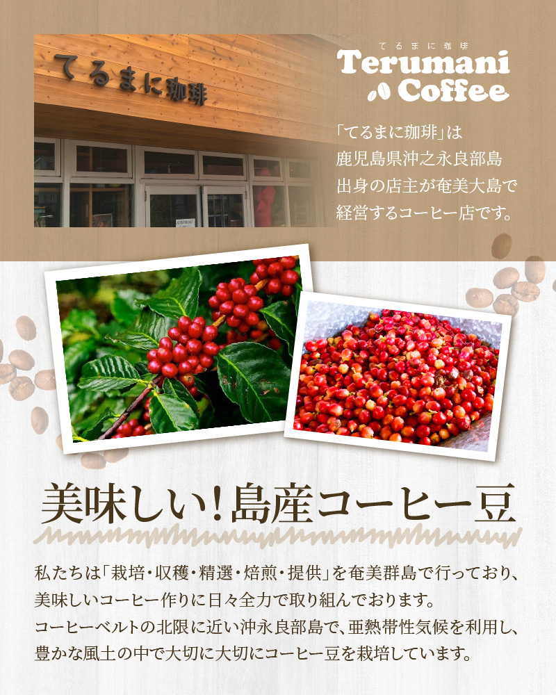 【10月1日価格改定（値上げ）予定】《人気の定期便3カ月コース》自家栽培・自家焙煎【てるまに珈琲】スペシャルブレンドコーヒーギフトセット＜豆+粉＞