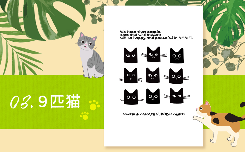 【奄美の保護猫支援（ワクチン代）】＋ポストカード3枚セット　A071-007