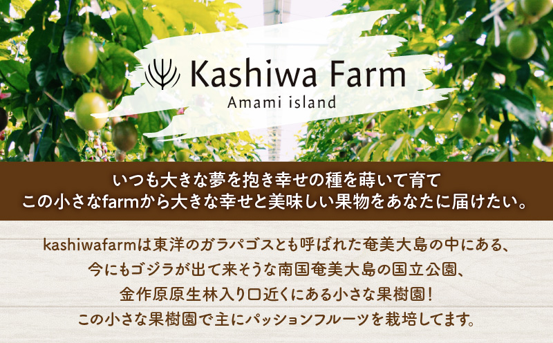 奄美大島産 ちょっとリッチなフルーツソース 5本セット（すもも＆パッションフルーツ）　A092-008