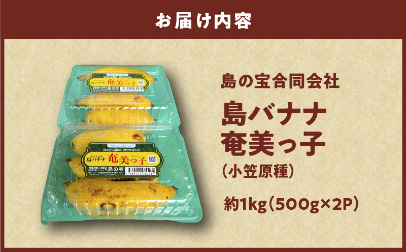 島バナナ 奄美っ子（小笠原種） 約1kg（500g×2P）　A037-033