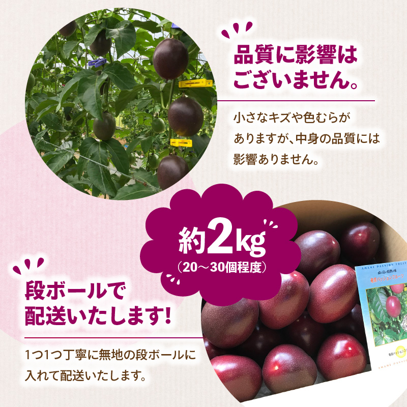 【2026年先行予約】奄美大島産パッションフルーツ約2kg　A054-002