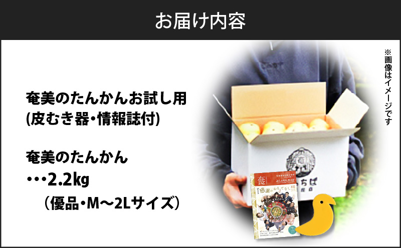 【2025年先行予約】奄美のたんかんお試し用2.2kg（むき器・情報誌付）　A052-025