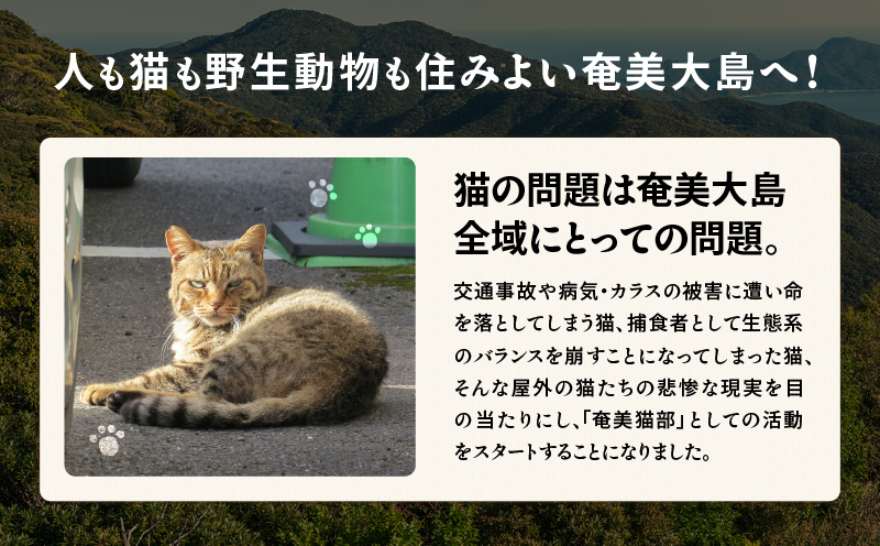 【奄美の保護猫支援（保護猫フード10日分）】＋ふくらかん（黒糖）10個入り　A071-005