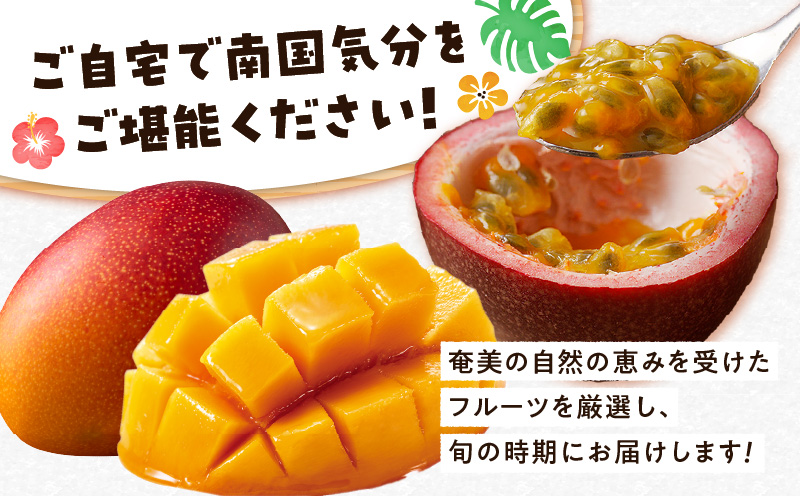 【全2回】厳選！奄美トロピカルフルーツ定期便　A000-T2402