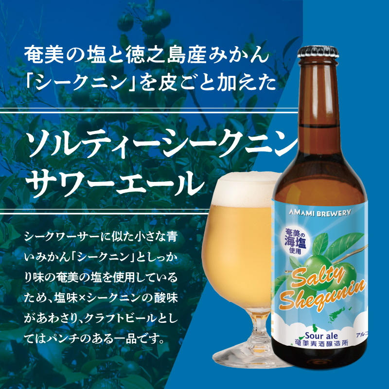 奄美クラフトビール＜4種各6本＞24本セット - クラフトビール ブラウンエール ヴァイツェン ペールエール 330ml 4種類 各6本 計24本 家飲み 地ビール 瓶ビール 鹿児島 奄美大島 純黒糖 ショウガ 島ばなな 長命草 シークニン ソルティー