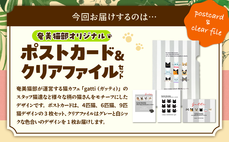 【奄美の保護猫支援（保護猫フード10日分）】＋ポストカード＆クリアファイルセット　A071-008