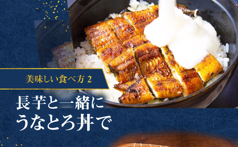 鹿児島県産！老舗うなぎ屋のうなぎのかば焼き2尾（並・100g以上×2パック）【贈答用】　A040-009-02