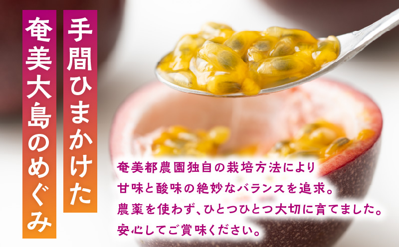パッションフルーツ 家庭用 約1kg　A194-001-01