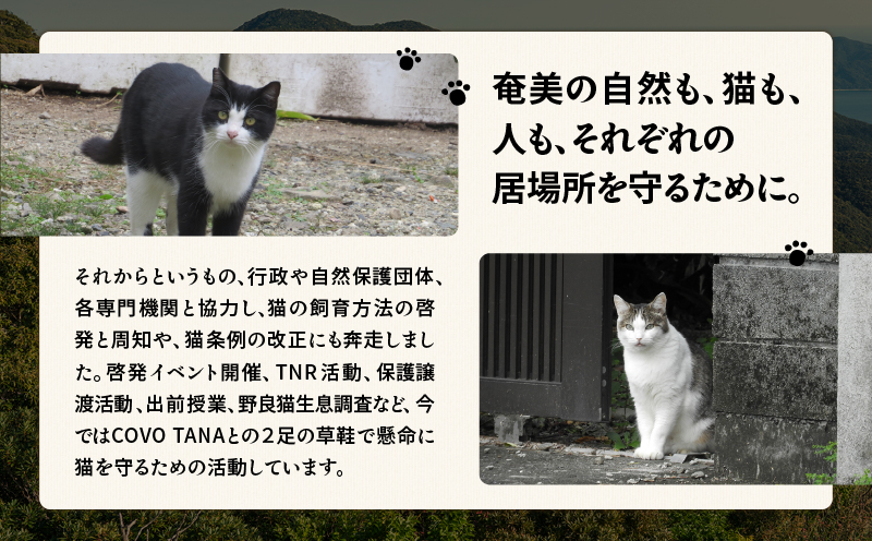 【奄美の保護猫支援（保護猫フード10日分）】＋奄美産タンカンのクレームブリュレ（6個入り）　A071-002-02