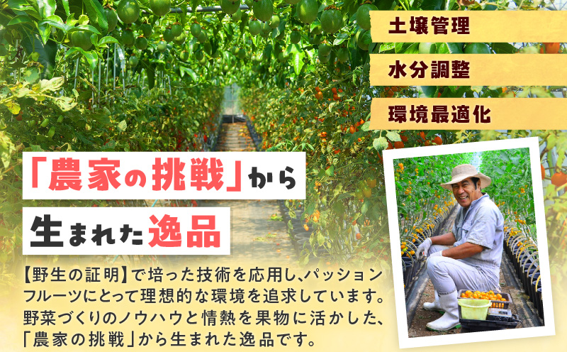 奄美産時計草（パッションフルーツ） 約1kg　A021-048-01