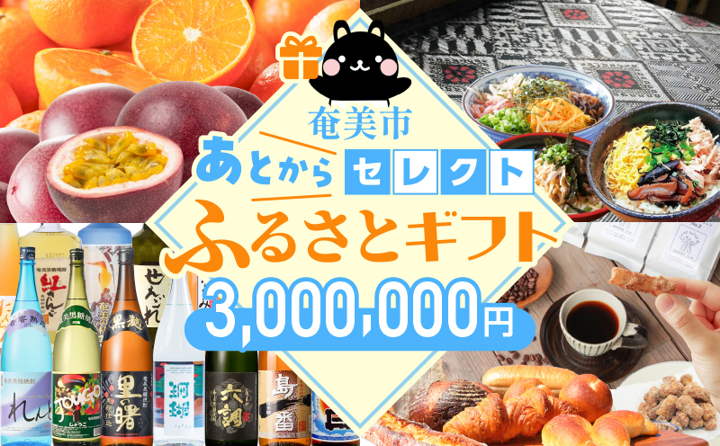 あとからセレクト【ふるさとギフト】300万円　A000-001-23