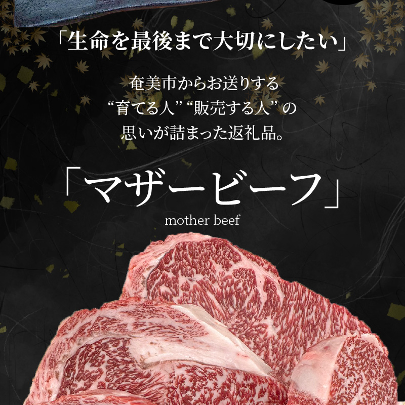 奄美マザービーフ　ロースカットステーキ - 牛肉 奄美マザービーフ ヒレ ロース ステーキ 鹿児島黒牛 マザービーフ ステーキ カット 国産 内閣総理大臣賞受賞 お取り寄せグルメ