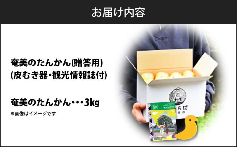【2026年先行予約】奄美のたんかん贈答用 3kg（皮むき器・観光情報誌付）　A052-022-02