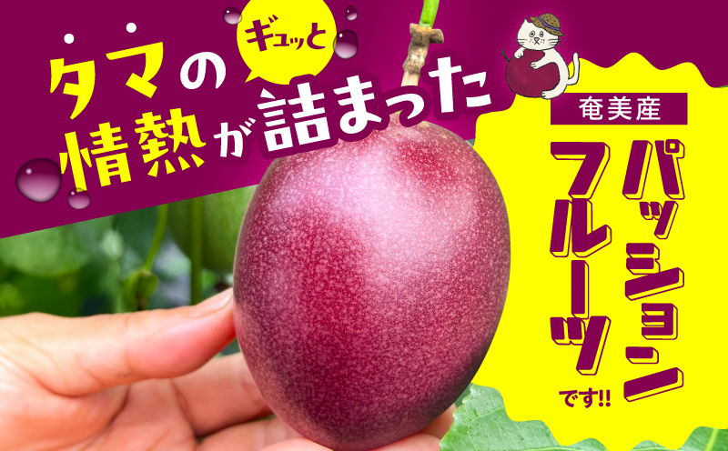 【2026年先行予約】【情熱のタマ】奄美産パッションフルーツ 1.5kg（18玉前後）　A203-001-01