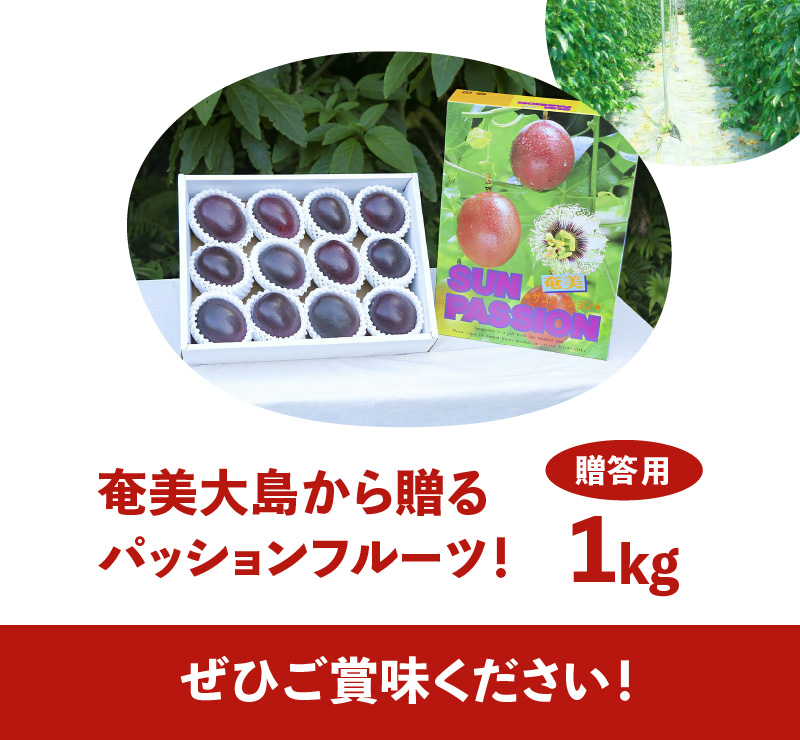 【2025年先行予約】ルビー色のトロピカルフルーツ！パッションフルーツ【贈答用】1kg　A052-005