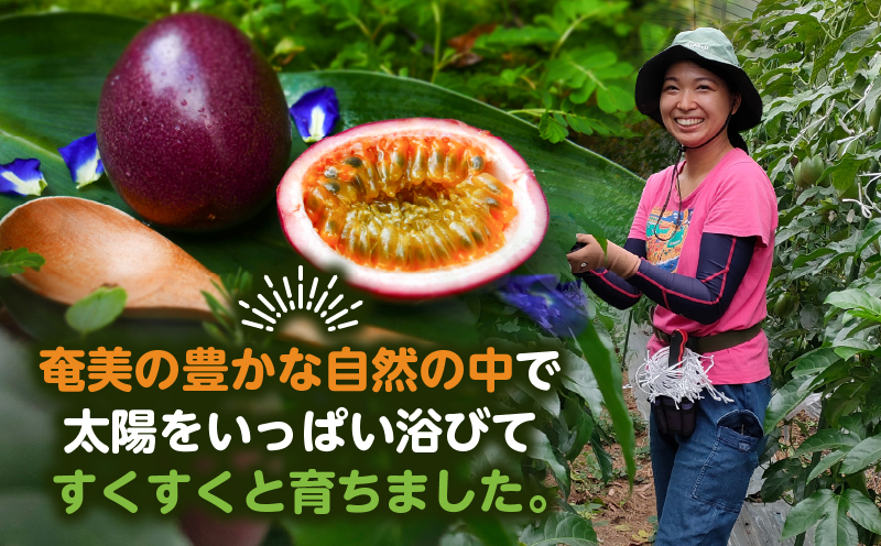 奄美パッションフルーツ 訳あり品 2kg（30個前後）　A135-005
