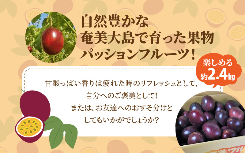 【10月1日価格改定（値上げ）予定】【2024年先行予約分】パッションフルーツ家庭用約２．４ｋｇ - パッションフルーツ 家庭用 約2.4kg 約25個前後 高糖度 国産 奄美大島産 果物 フルーツ 農家直送 トロピカルフルーツ 南国フルーツ