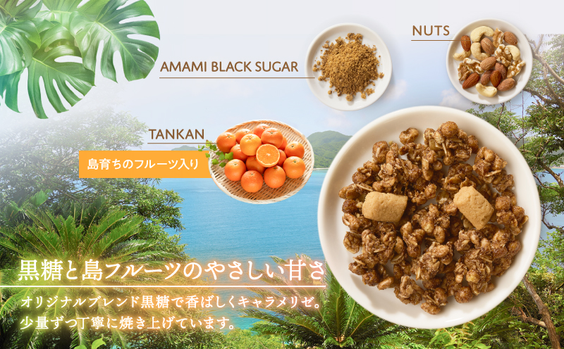 Amami フルーツグラノーラ（たんかん） 約200g 黒糖 保存料無添加　A198-002