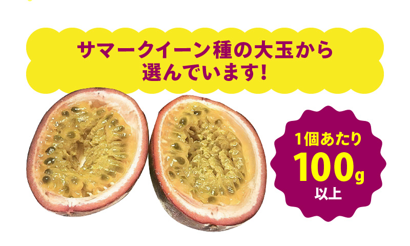 【10月1日価格改定（値上げ）予定】【2024年先行予約分】《厳選大玉》高糖度！パッションフルーツ約1.3kg 12個 国産 果物 奄美大島 農家直送 ビタミン カリウム 葉酸 トロピカルフルーツ